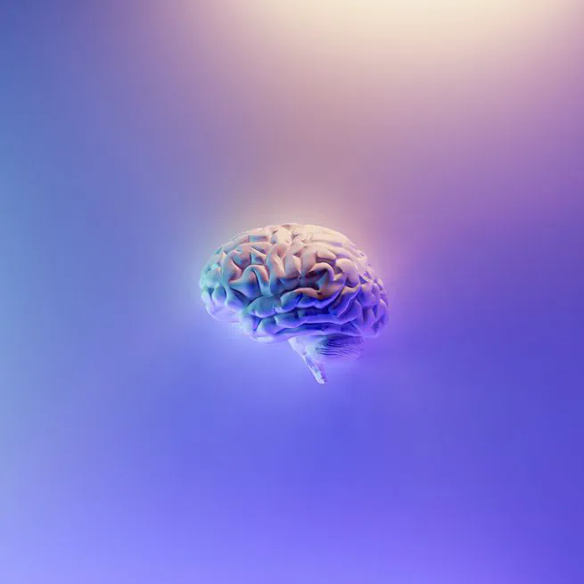 π§ Sharpen your thinking with a second brain